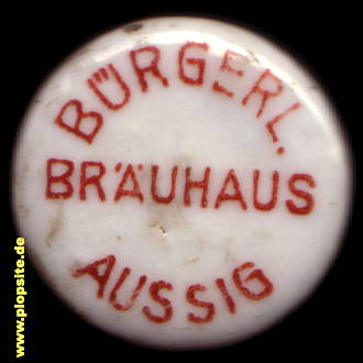 Obraz porcelany z: Bürgerliches Brauhaus, Aussig, Ústí nad Labem, Czechy