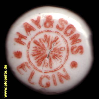 Obraz porcelany z: Hay & Sons, Ginger Beer, Elgin, Ailgin, Wielka Brytania