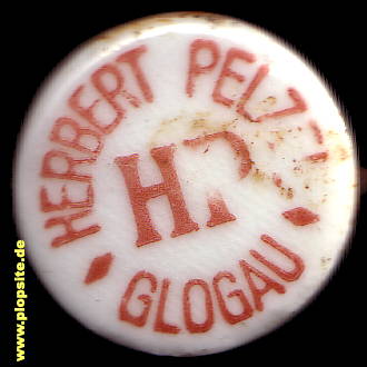 Obraz porcelany z: Glogau, Herbert Pelzel,  PL, unbekannt, Polska