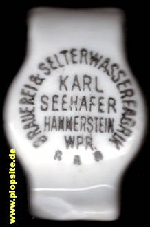 Obraz porcelany z: Brauerei & Selterwasserfabrik Karl Seehafer, Hammerstein, Czarne, Polska