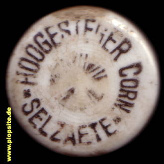 Obraz porcelany z: Selzaete, Hoogesteger Corn,  BE, unbekannt, Belgia