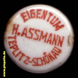 Obraz porcelany z: Teplitz - Schönau; H. Assmann,  CZ, unbekannt, Czechy