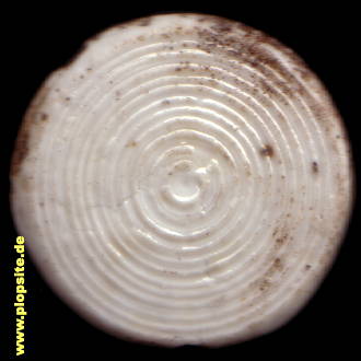 B�ügelverschluss aus: Relief,  DE, unbekannt, Deutschland