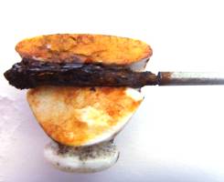 Pushing out of rusty wire, seen in cross sections of a cermic cap (I)