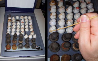 Perparing pictures of ceramic caps by using a computer scanner